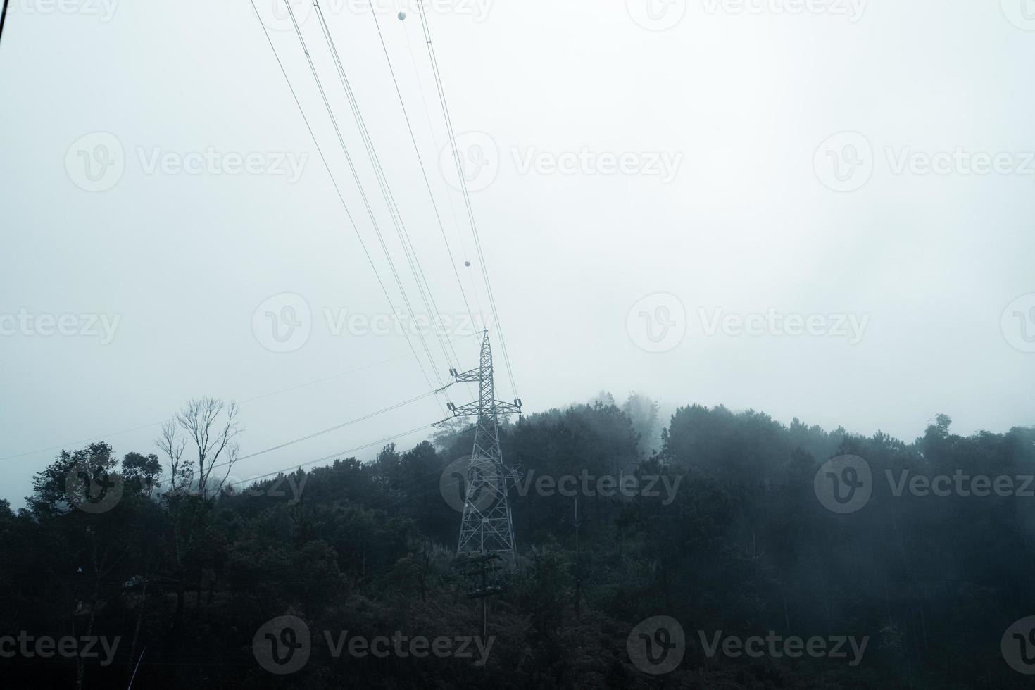 trees and mountains on rainy day photo