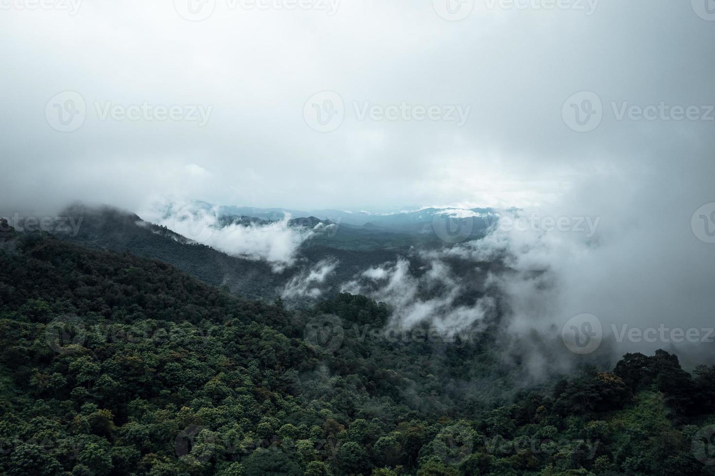 trees and mountains on rainy day photo