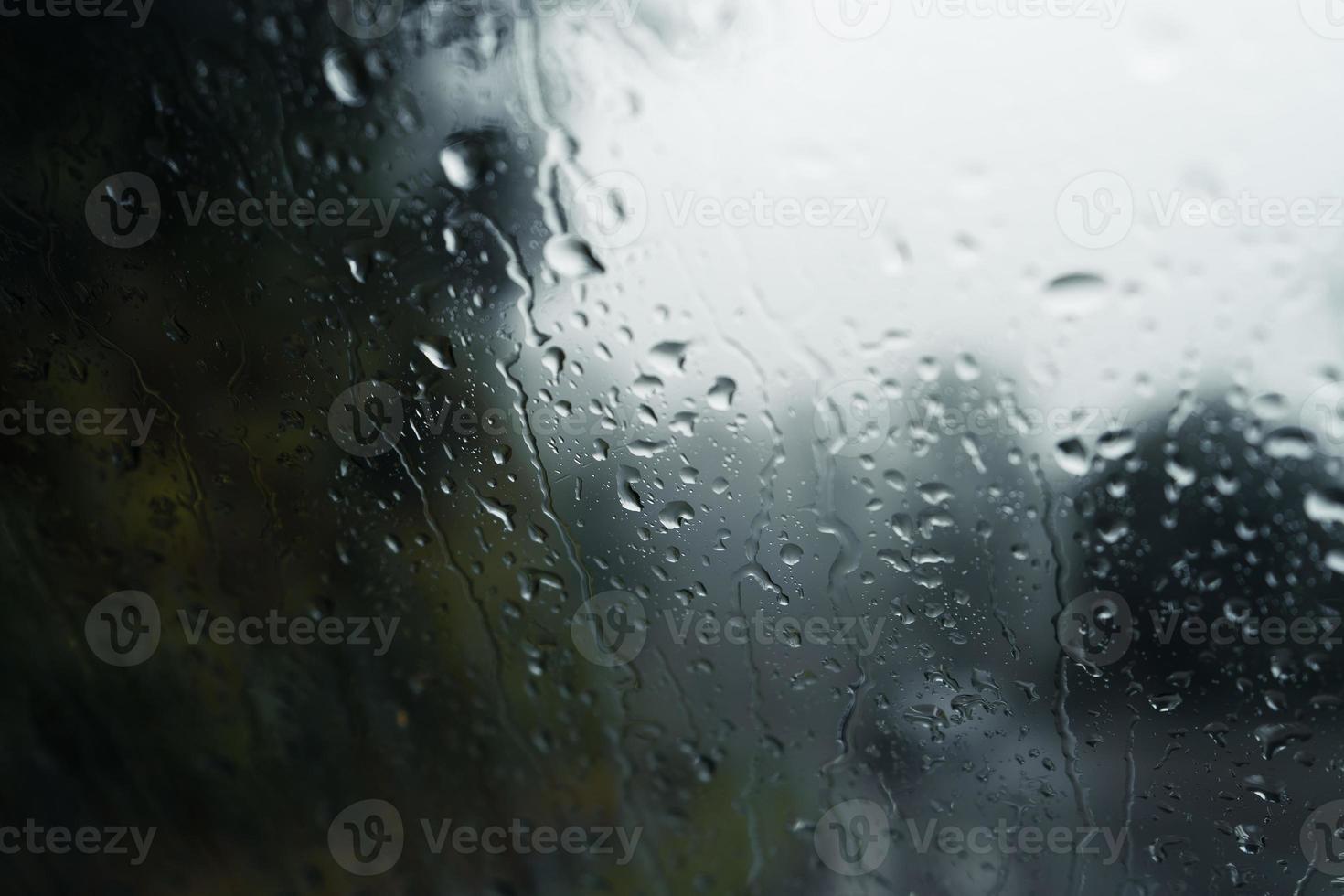 trees and mountains on rainy day photo