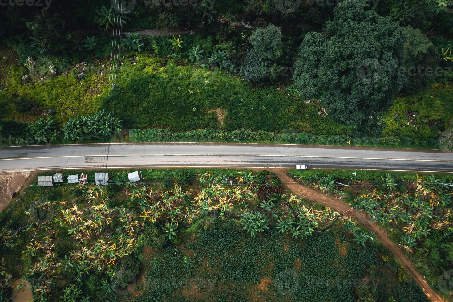 Mountain road in rainy and foggy day photo