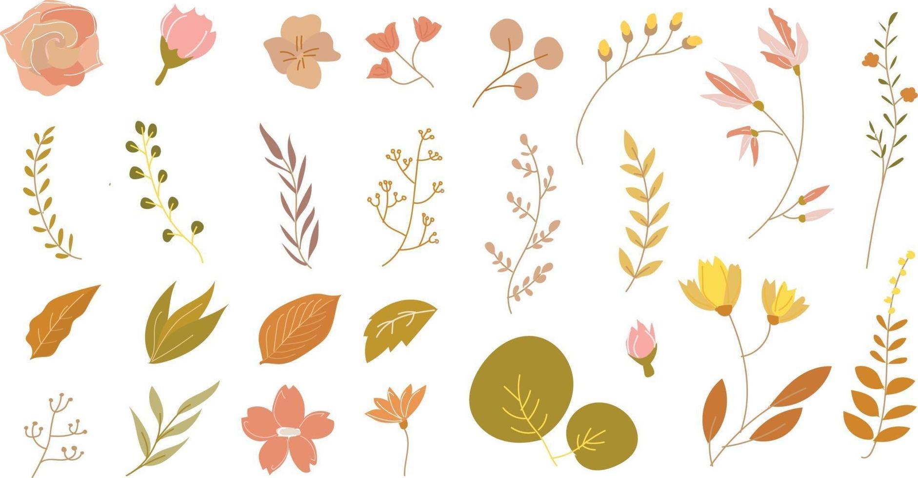 gran conjunto de elementos florales de otoño vector