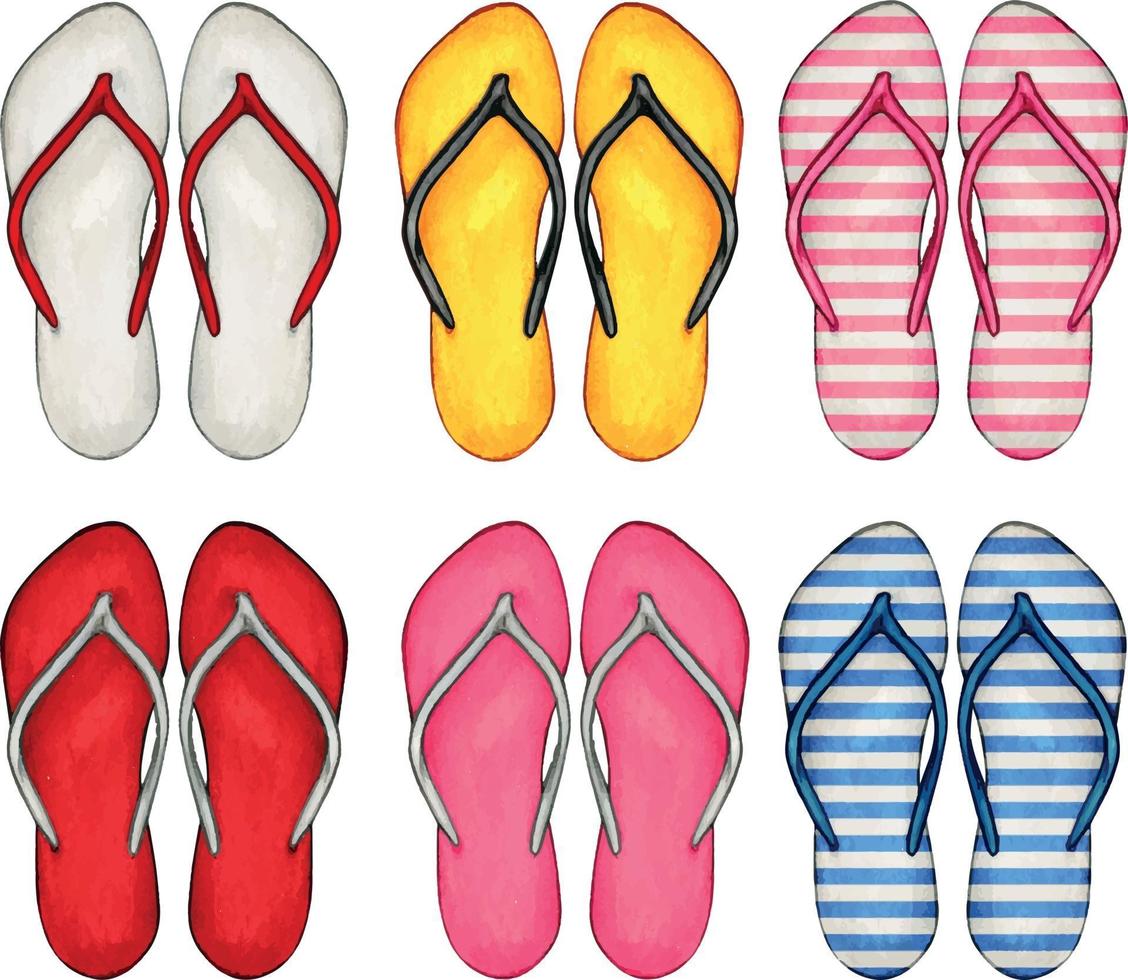 Watercolor hand drawn colorful flip flops vector