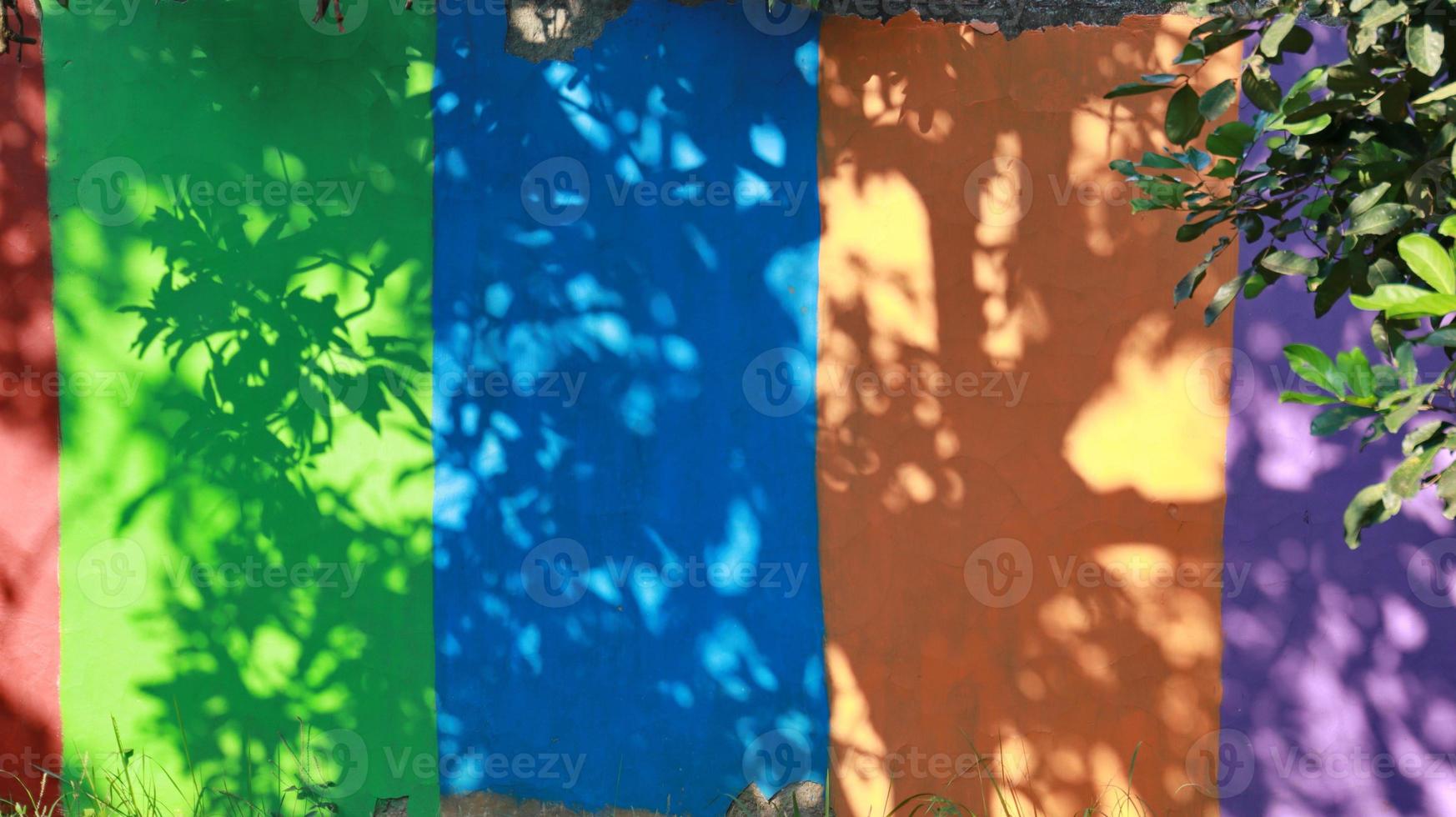 Colorful walls, with tree shadows forming a unique ornament photo