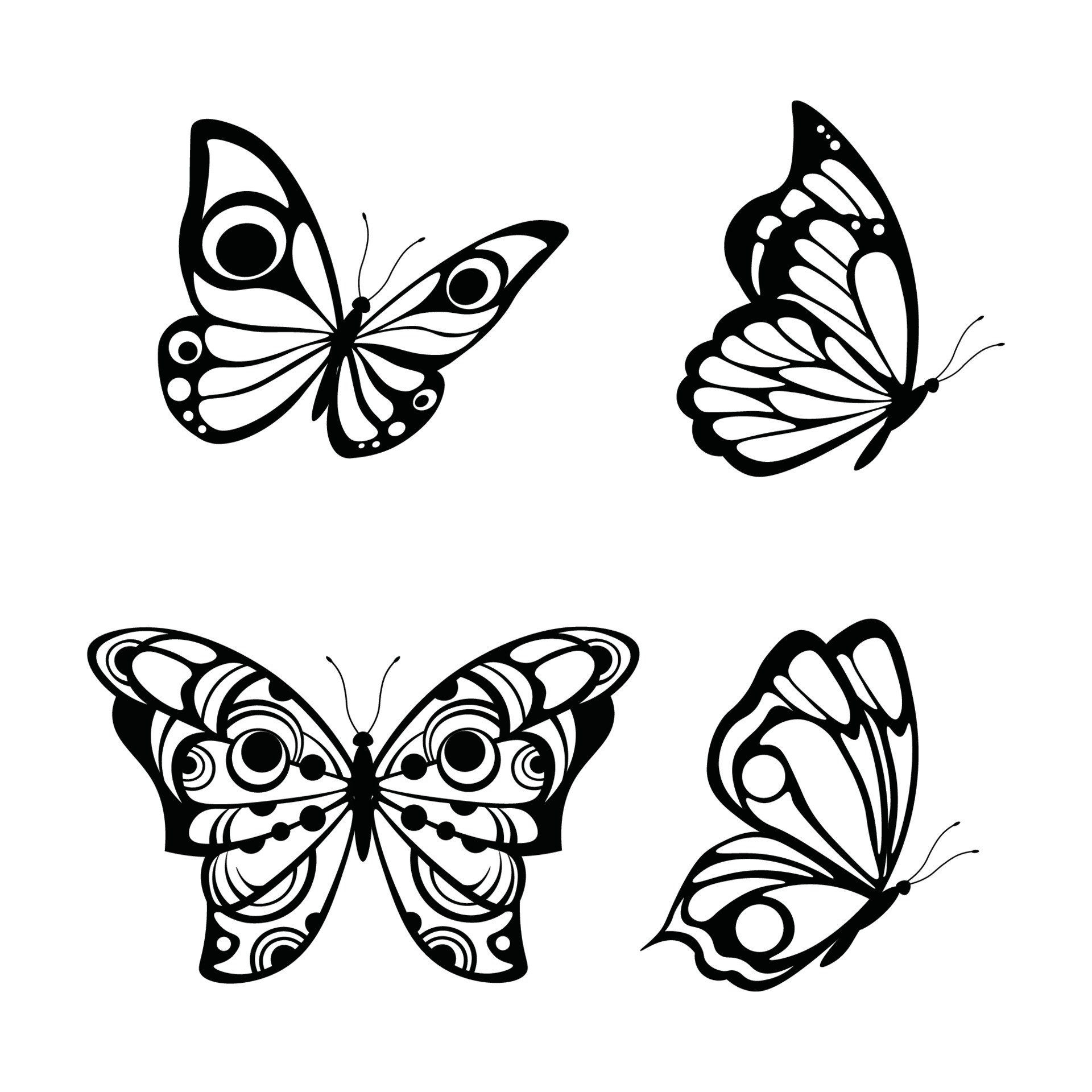 Slette udsagnsord Reception Beautiful nature flying insect exotic butterflies with funny wings 3245916  Vector Art at Vecteezy