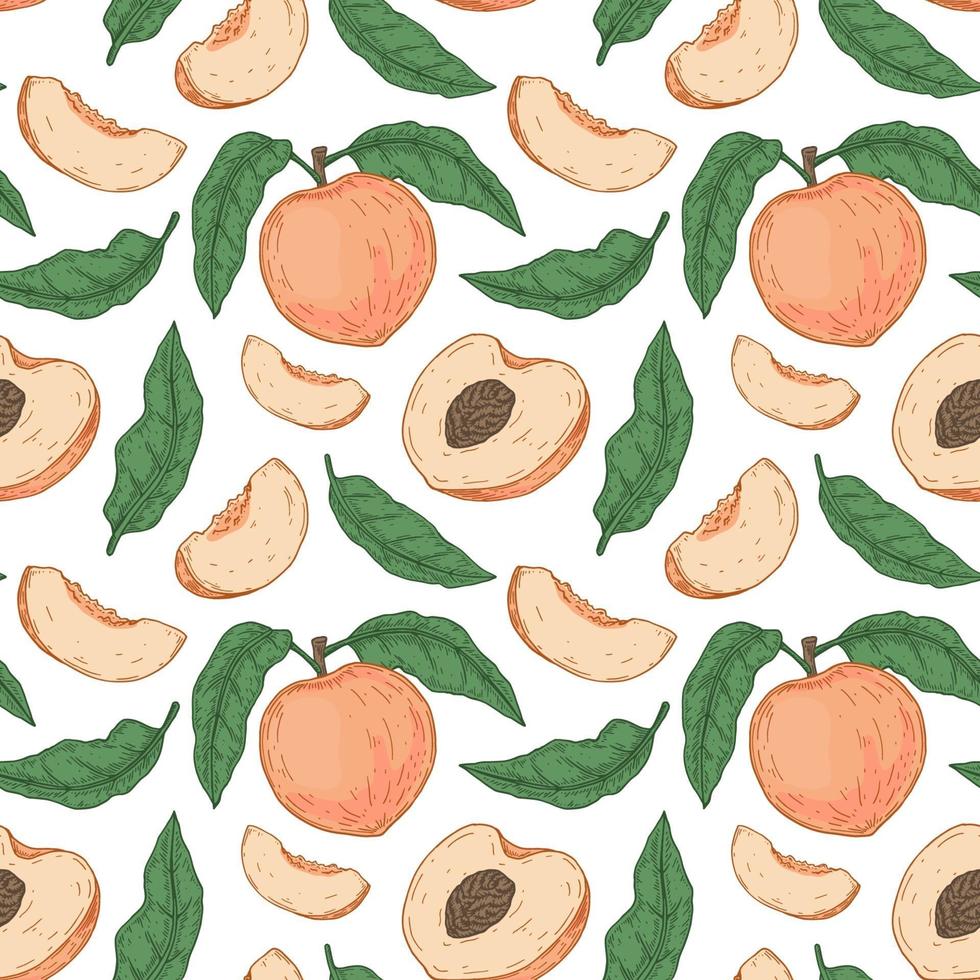 Hand drawn peach seamless pattern. Vector illustration