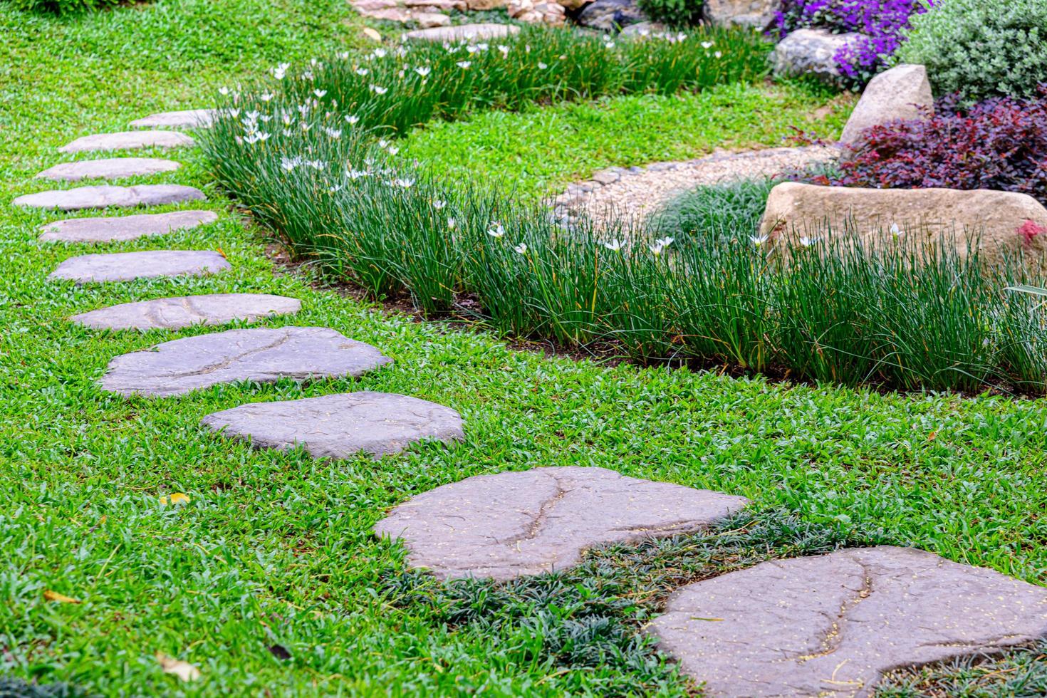 Stone stepping pathway in a Japanese style garden photo