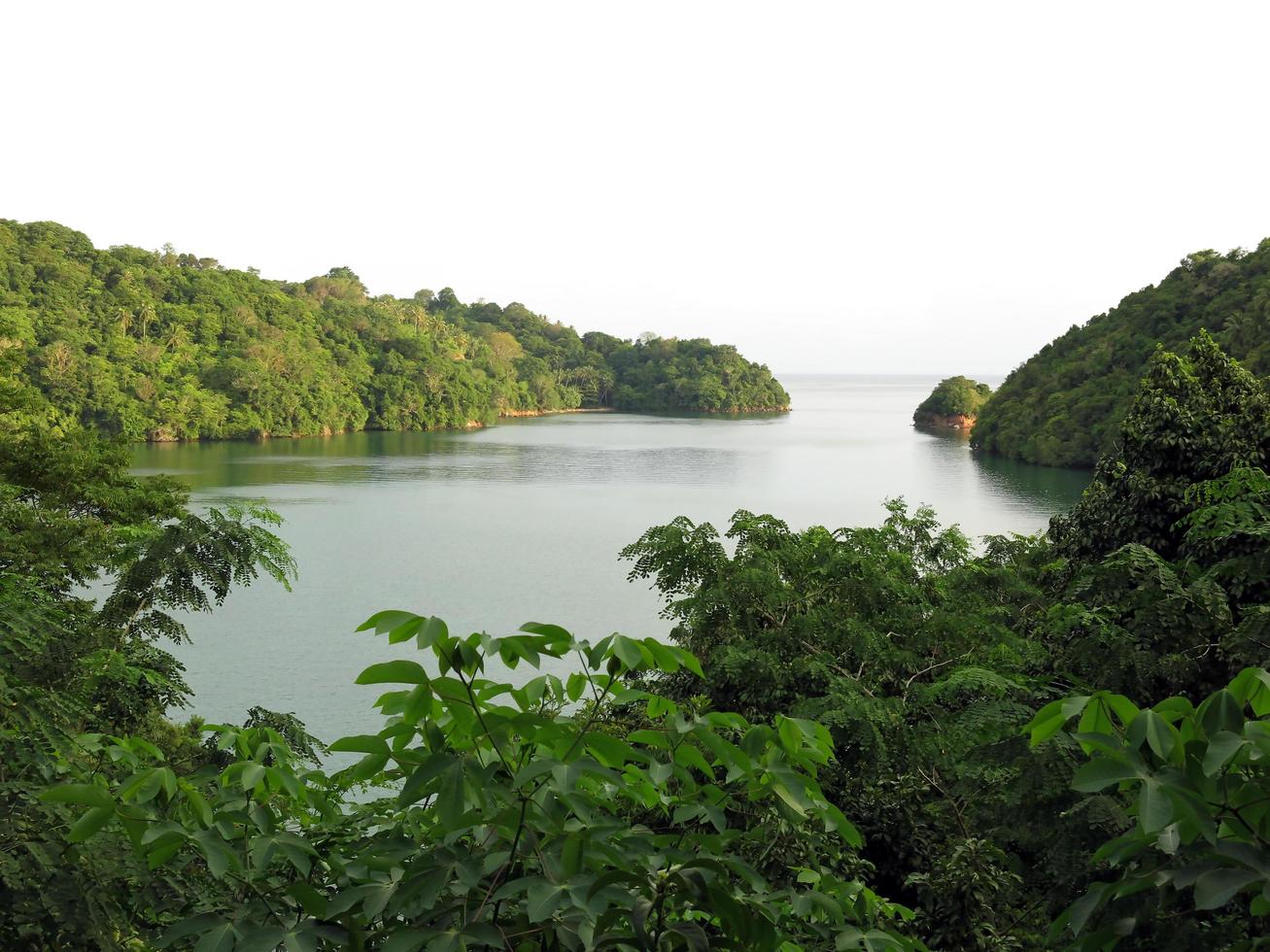 la naturaleza del estrecho de lembeh. foto