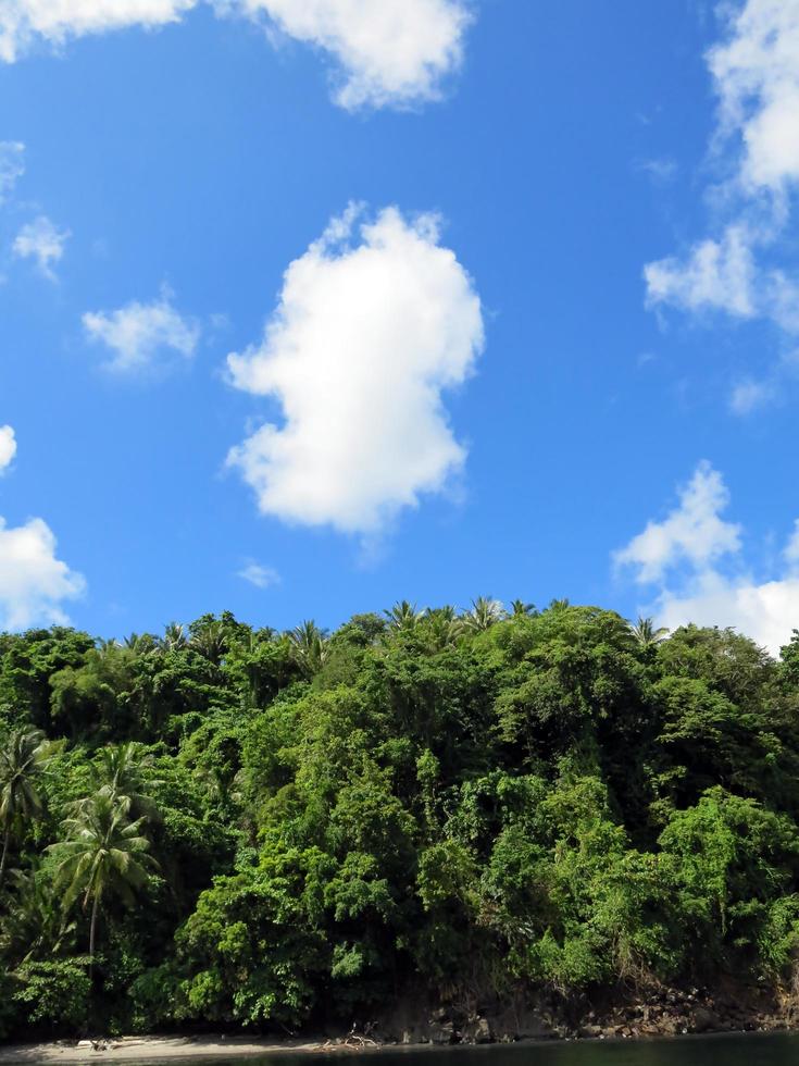 The nature of the Lembeh Strait. photo