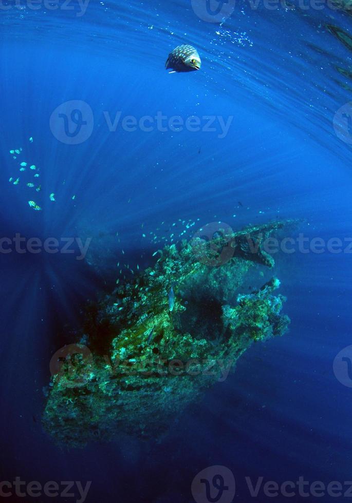 Liberty ship wreck in Tulamben photo