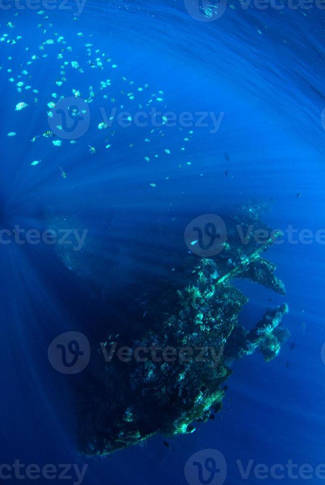 Liberty ship wreck in Tulamben photo