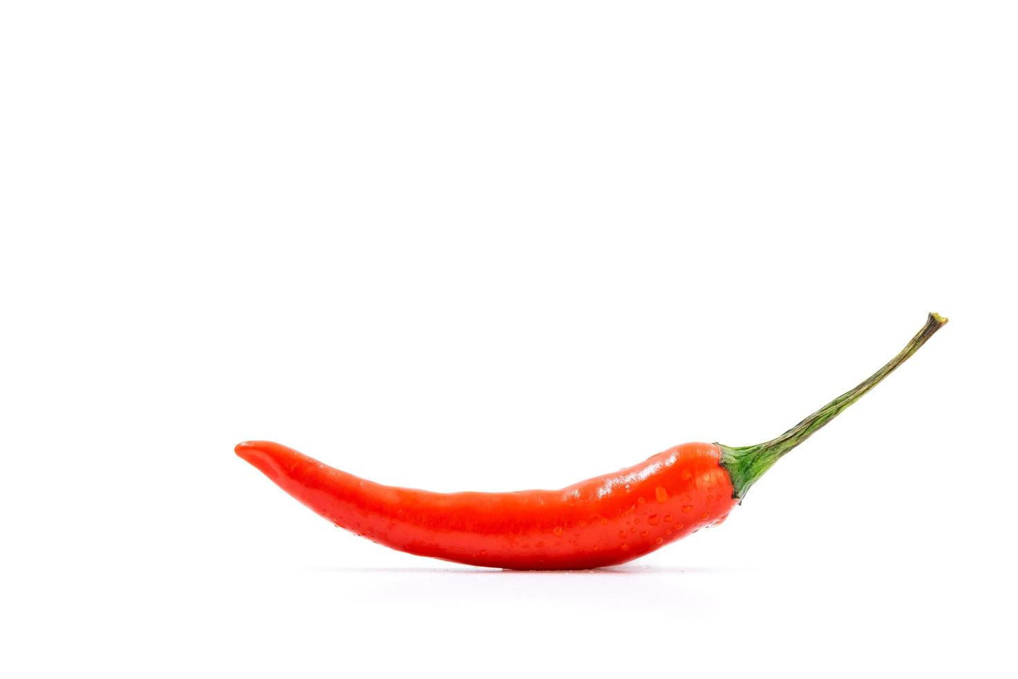 Single fresh red pepper isolated on white background photo