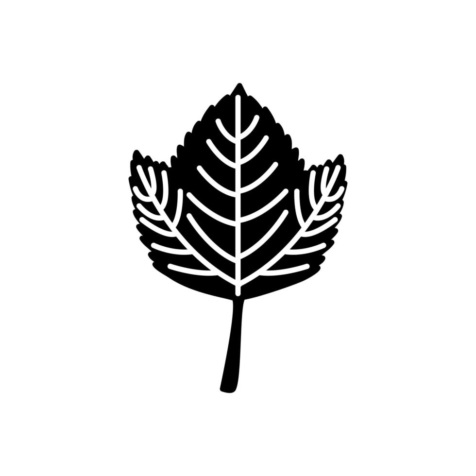 Autumn season leaf vector design