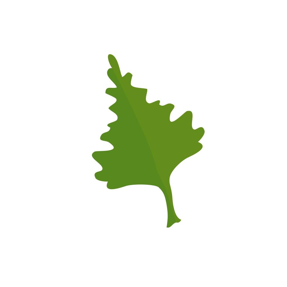 coriander leaf fresh vegetable isolated icon vector