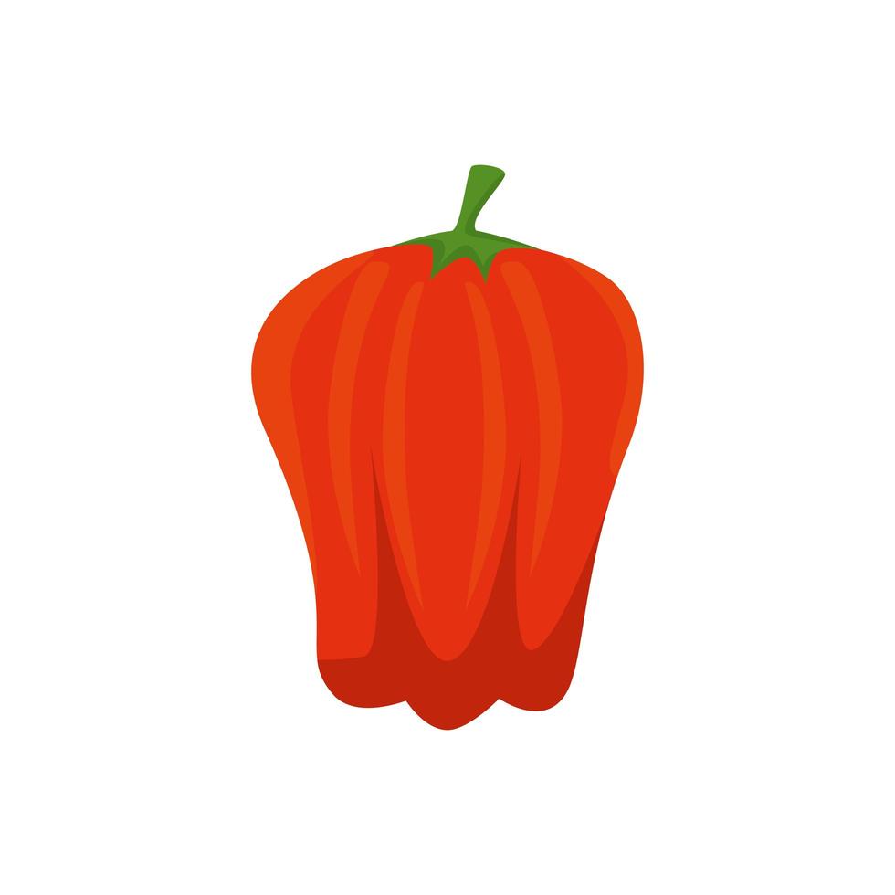 pepper fresh vegetable isolated icon vector