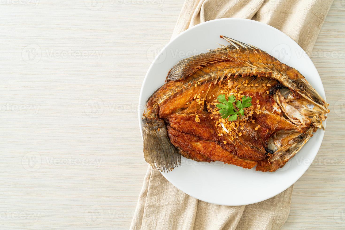 Fried Sea Bass Fish with Garlic photo