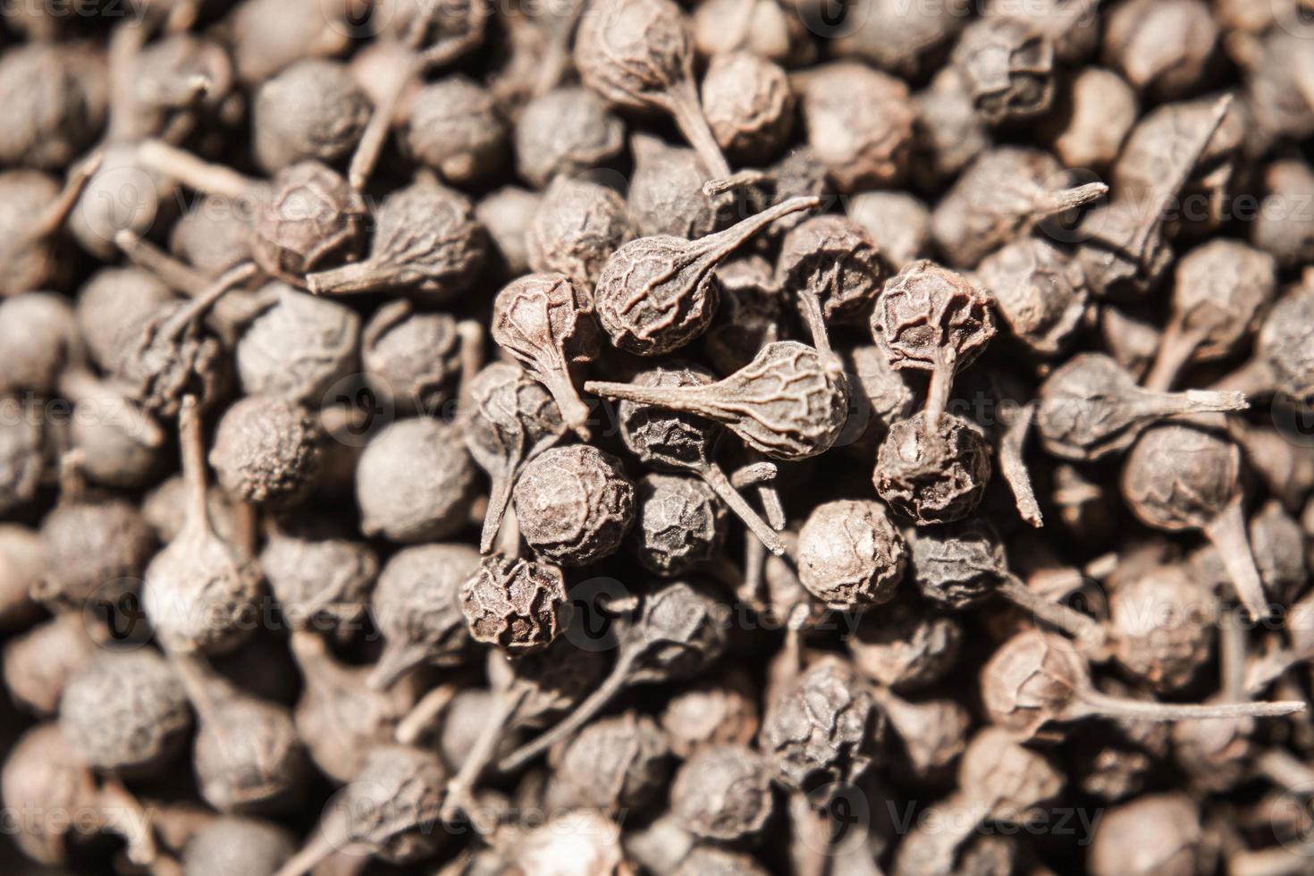A bunch of dried peppercorns photo