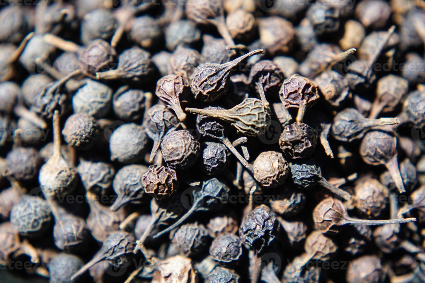 A bunch of dried peppercorns photo