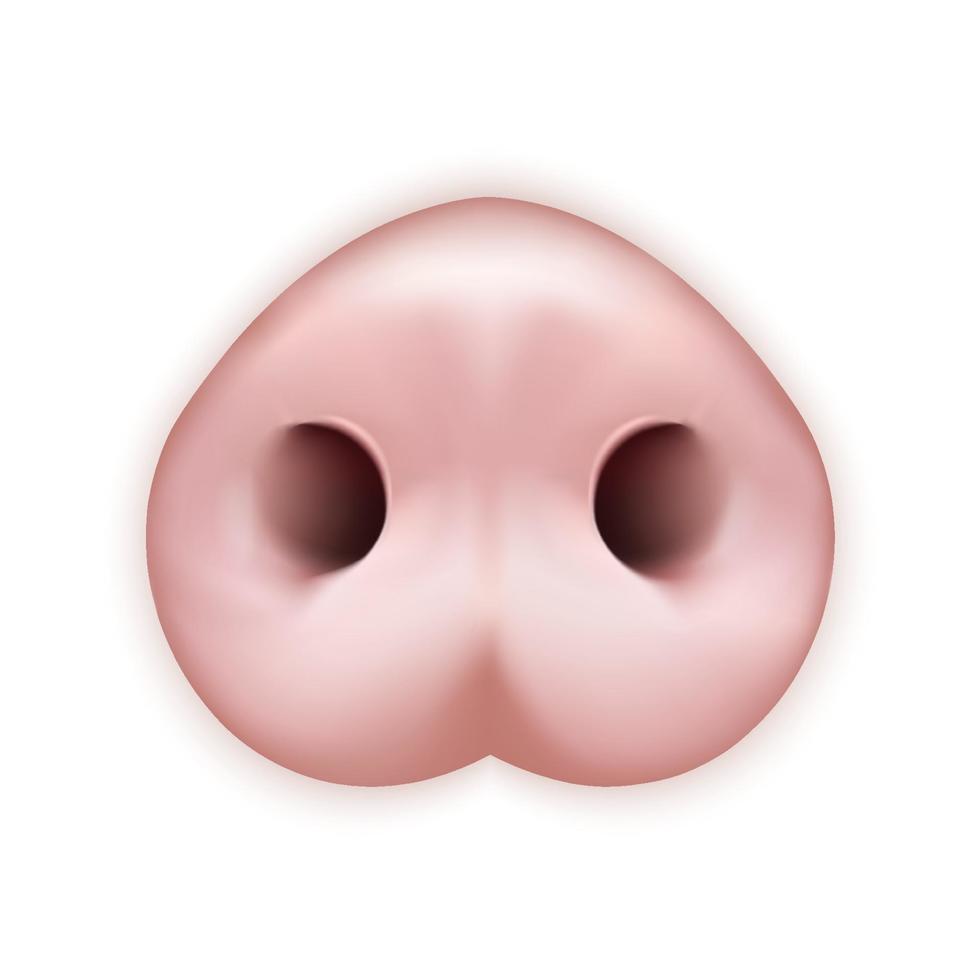 Cute funny pig face vector