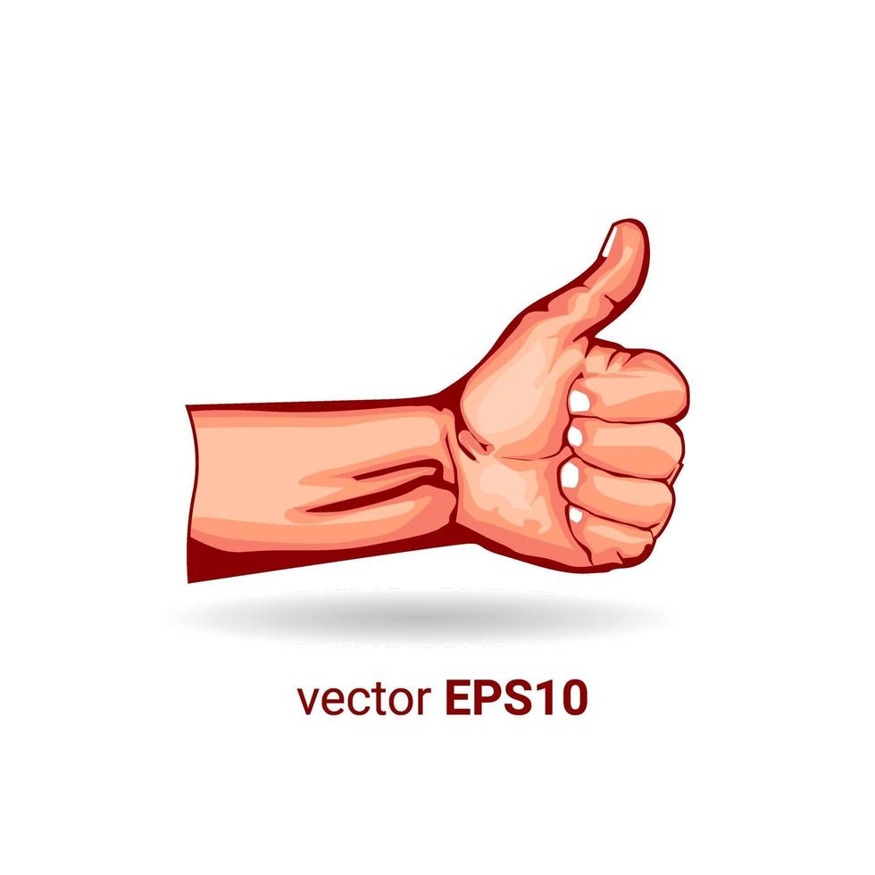 thumbs down and thumbs up hand illustration vector image