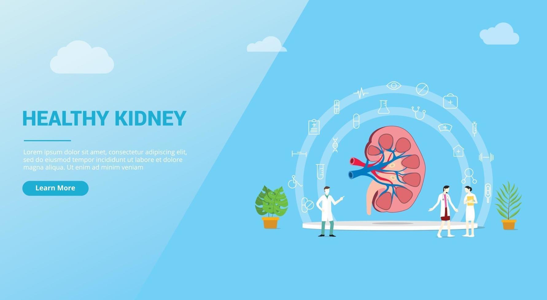 riñones o concepto de salud renal para plantilla de sitio web vector