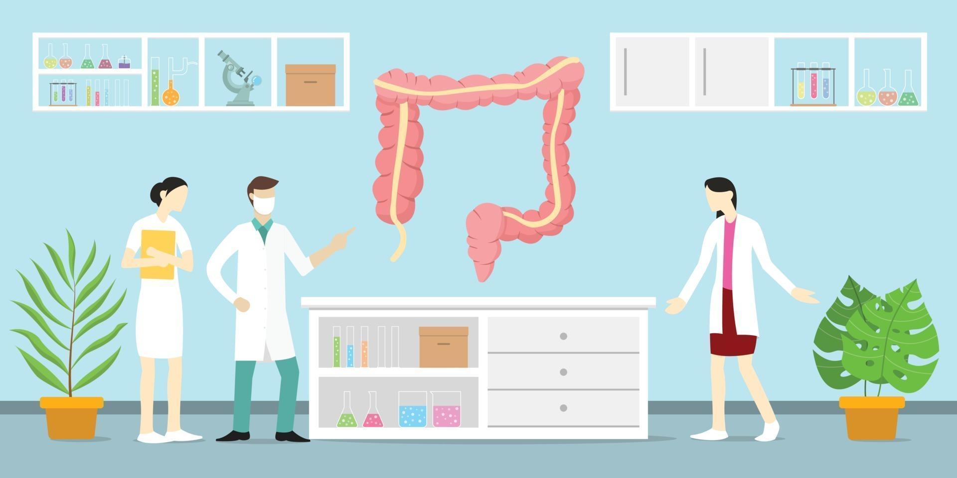 human colon on the laboratory with doctor people treatment vector
