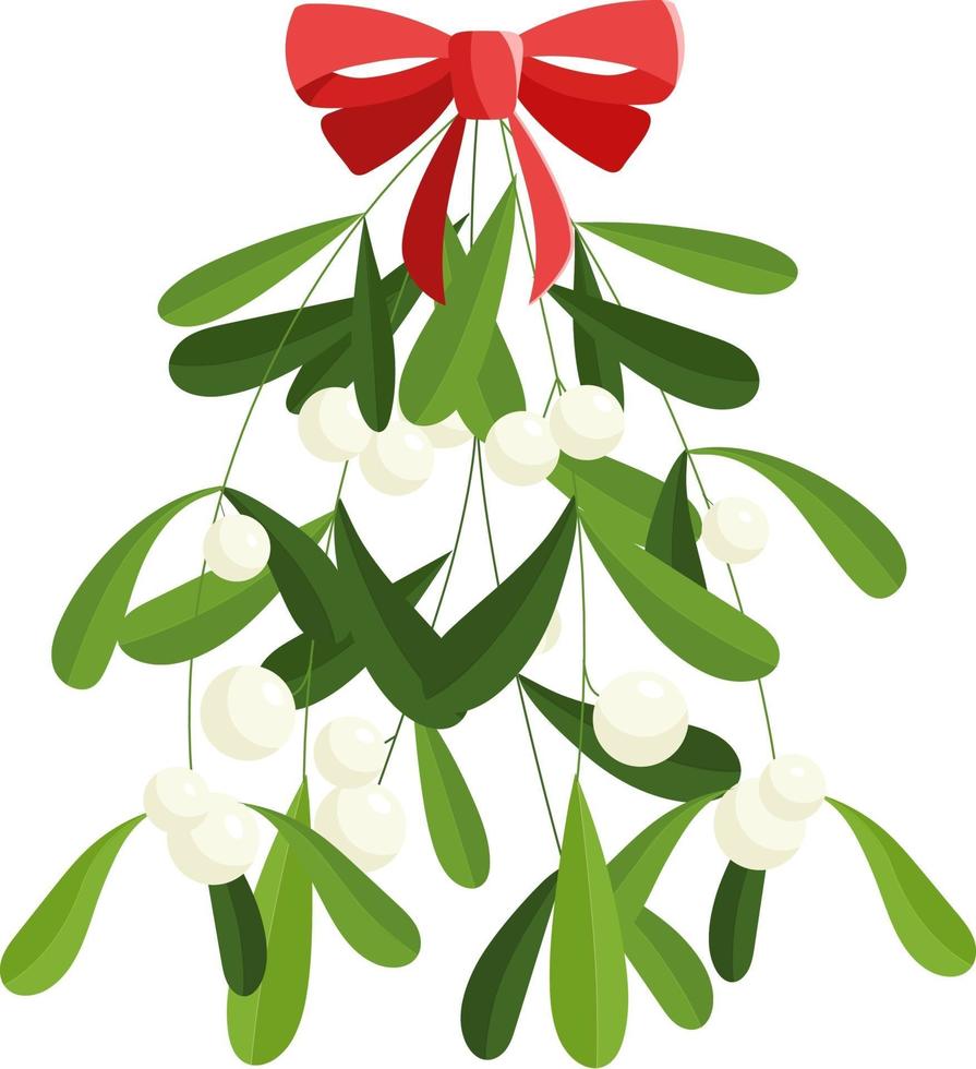 Branch of mistletoe with berries and red bow. Winter template vector