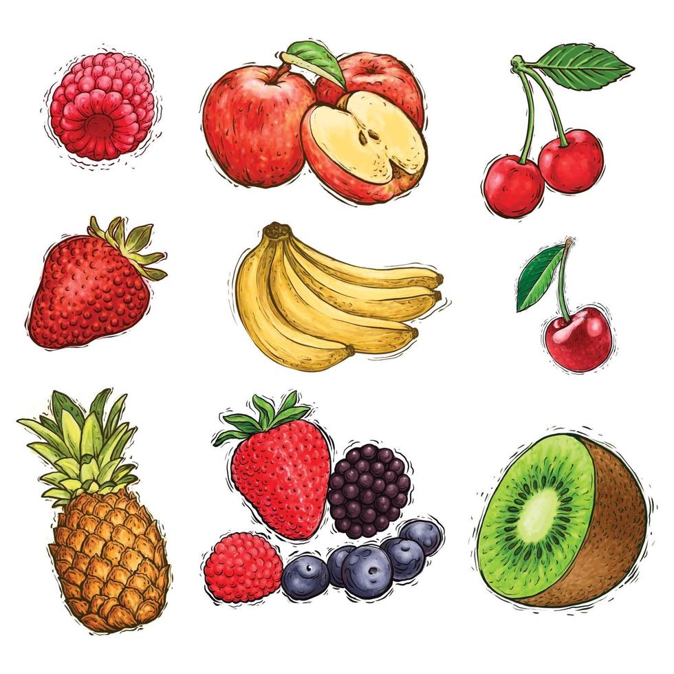 Set of fruits collection watercolor illustration vector