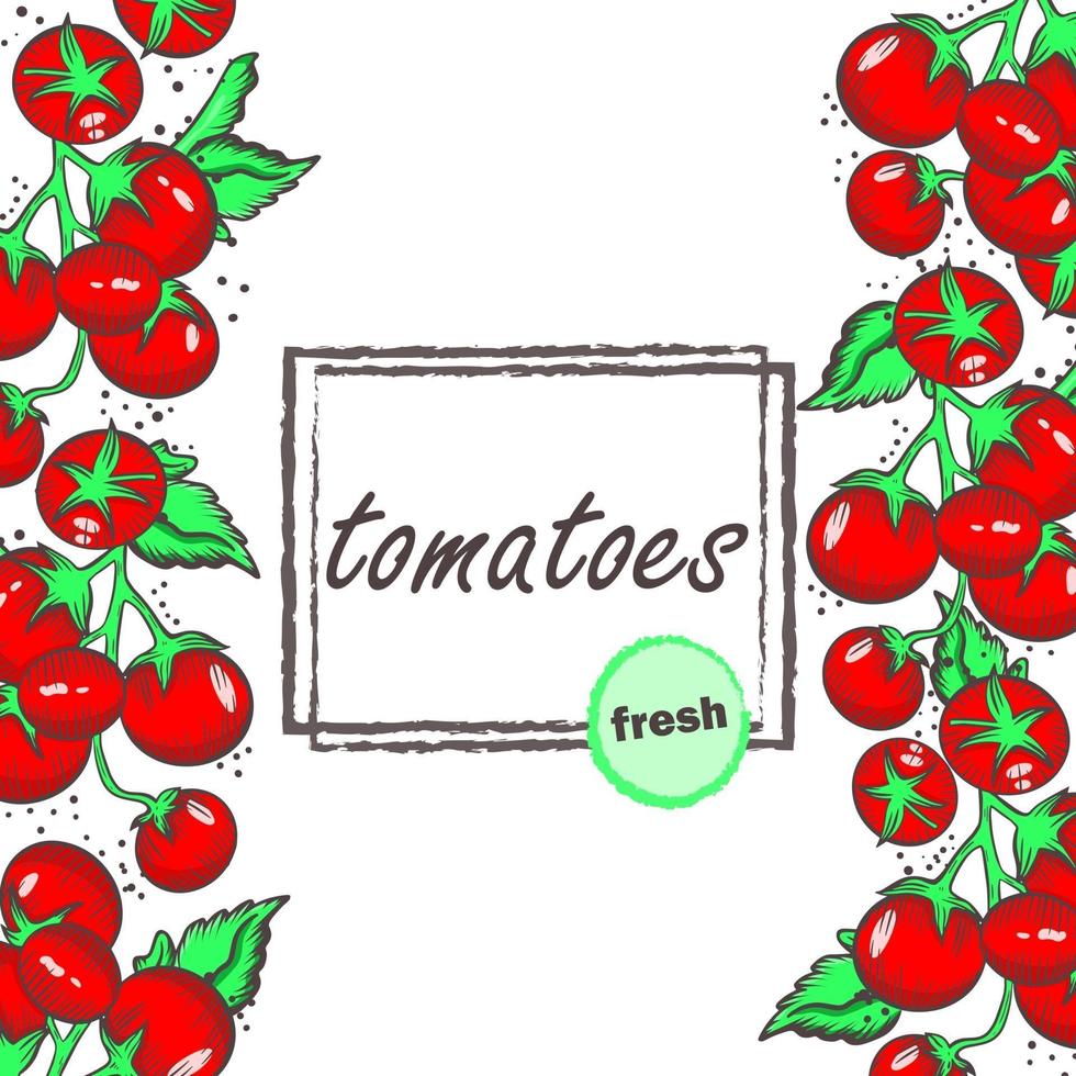 Template with cherry tomatoes vector illustration