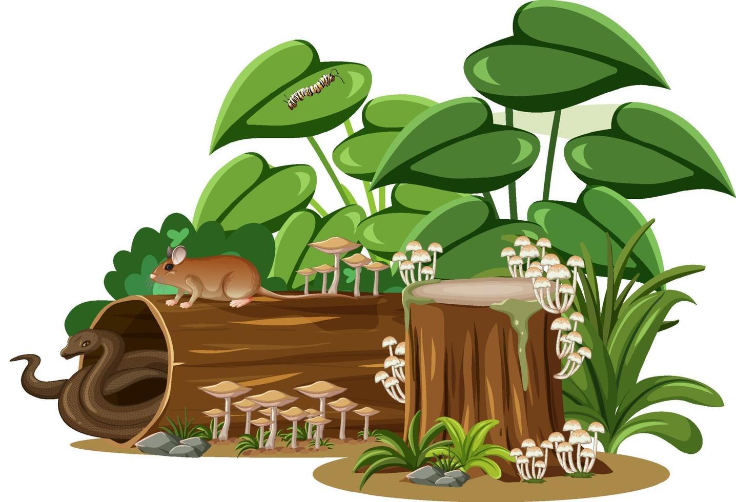 Snake and mouse with fungus timber on white background vector