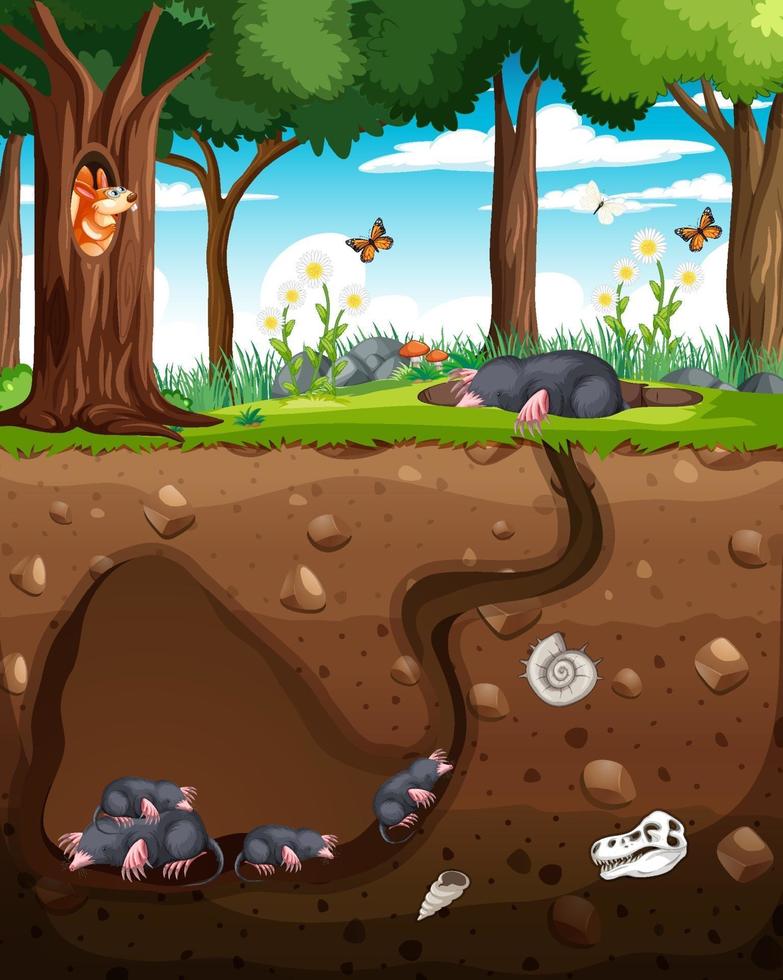 Underground animal burrow with mole family vector