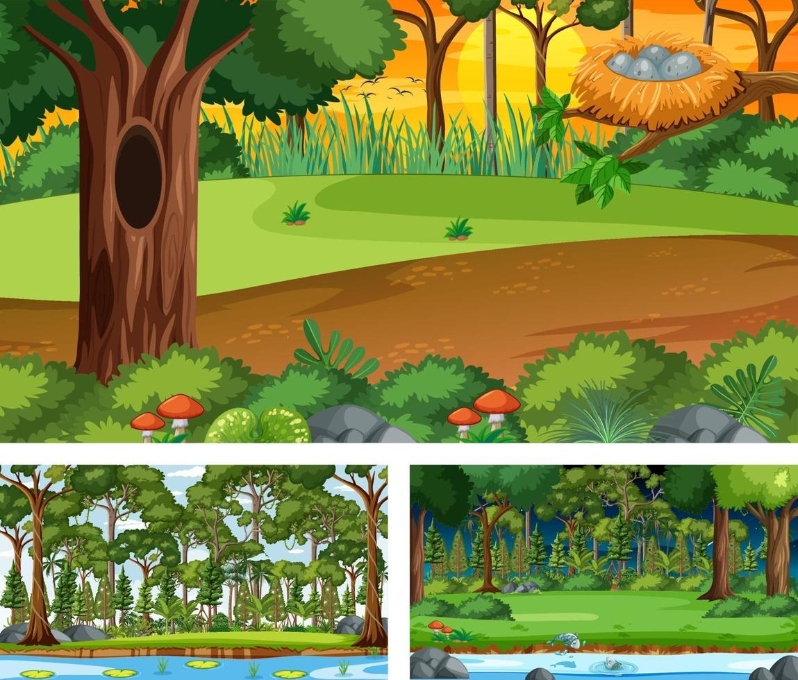 Forest scenes with many trees vector