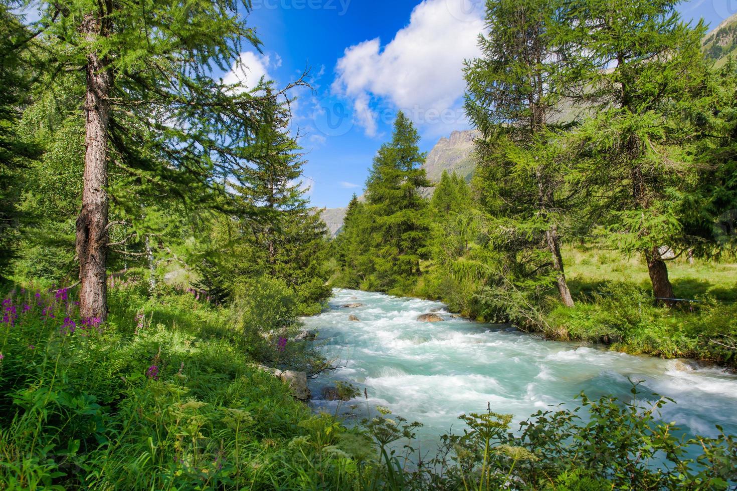 Río alpino lleno de agua en los Alpes suizos foto