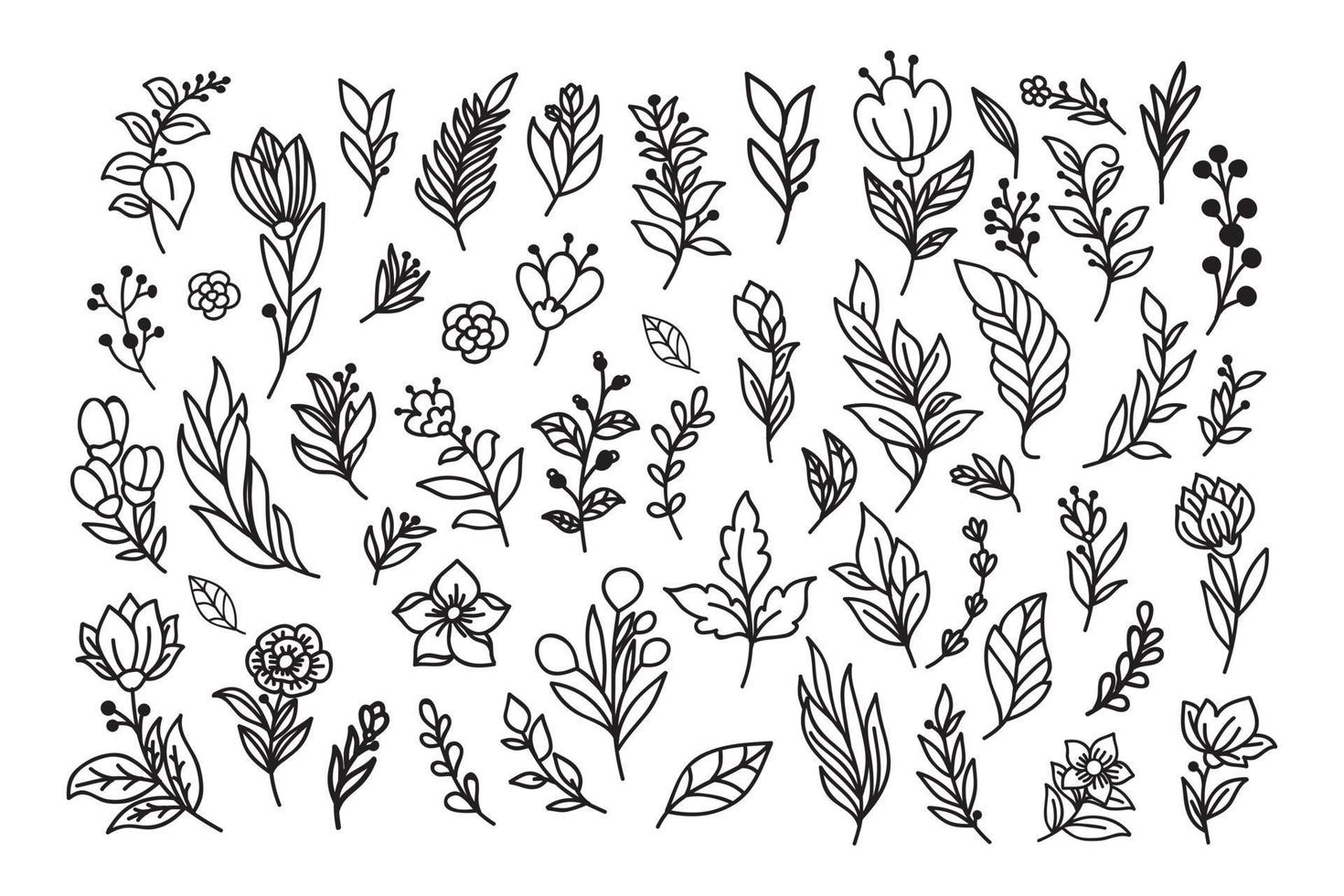 Beautiful hand drawn floral vector collection