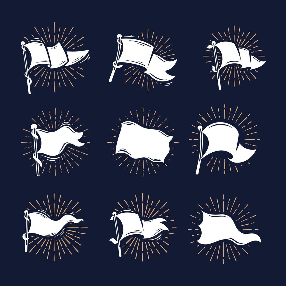 Set of vintage sunburst flags in different shapes vector