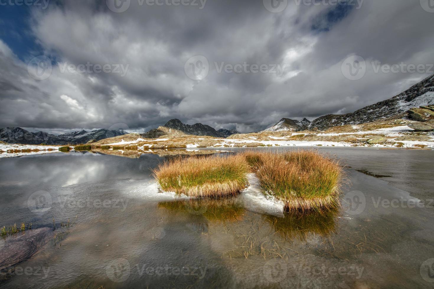 Tufts of meadow in a small alpine lake photo