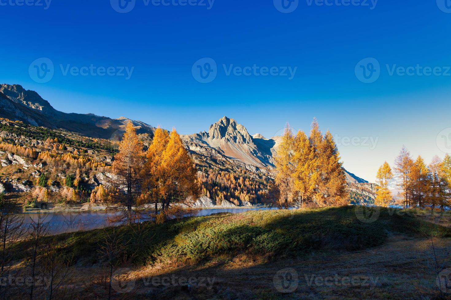 maravilloso paisaje de otoño foto