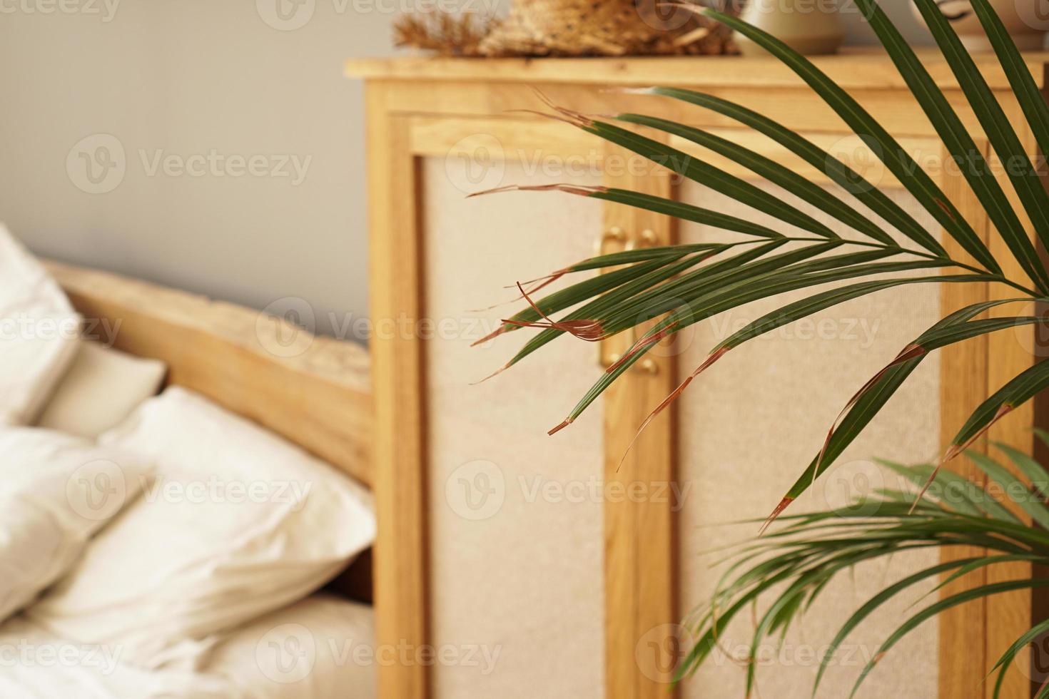 Living space or hotel room in a Scandinavian style. Green plant photo