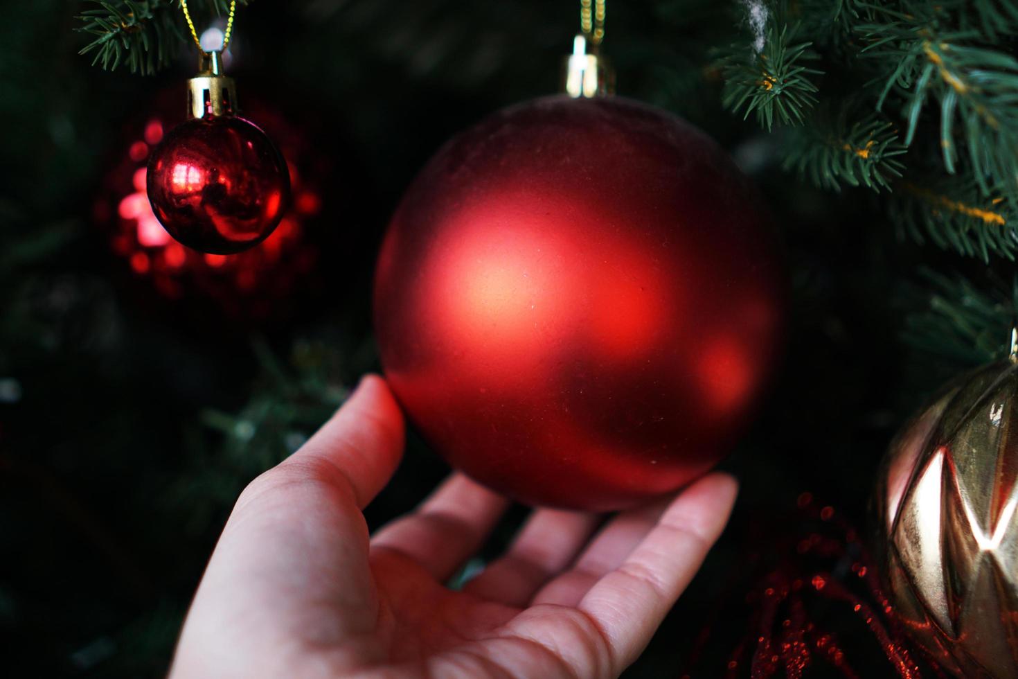 Female hand holds a red Christmas ball on background photo