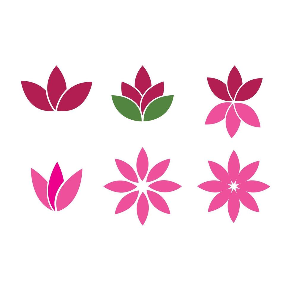 Lotus flowers illustration vector