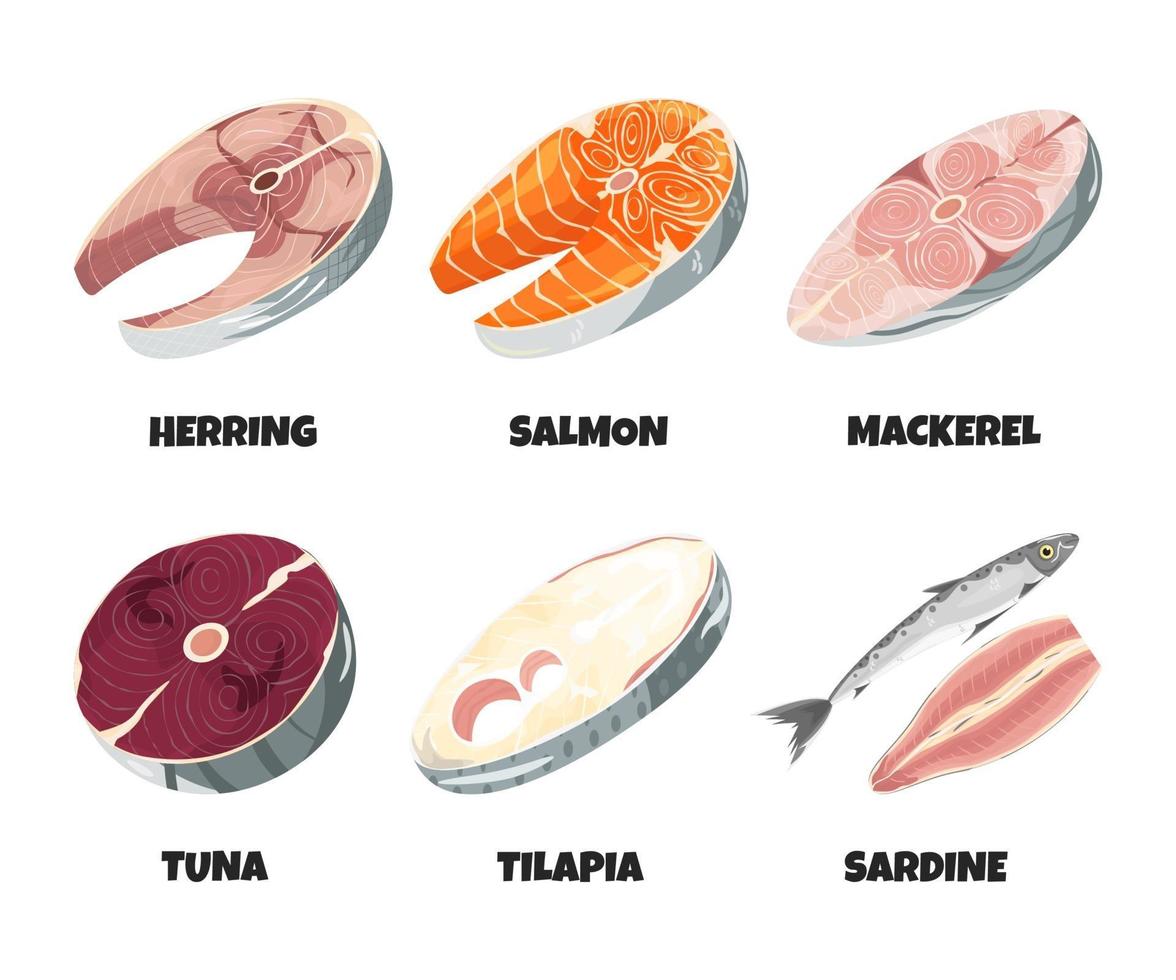Raw fresh fish steak collection isolated on white vector