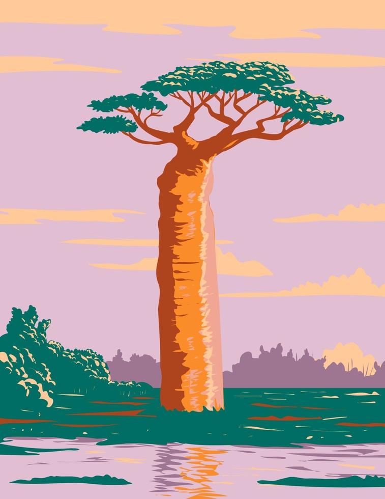 grandidiers baobab en madagascar wpa poster art vector