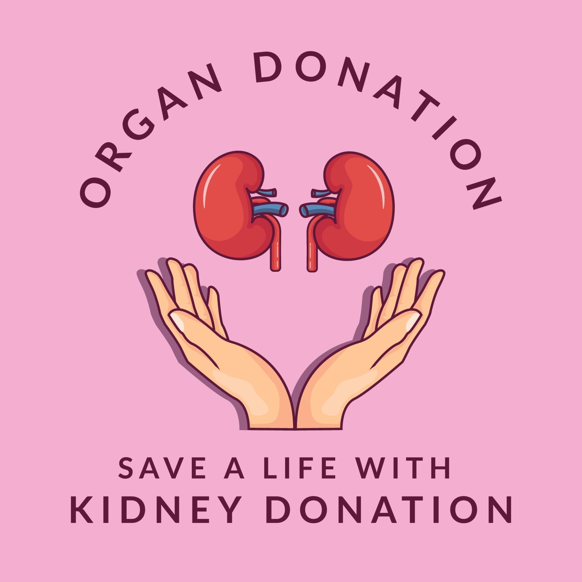 This Invisible Layer Saves Your Kidneys – Discover The Truth! - 74ia1sp