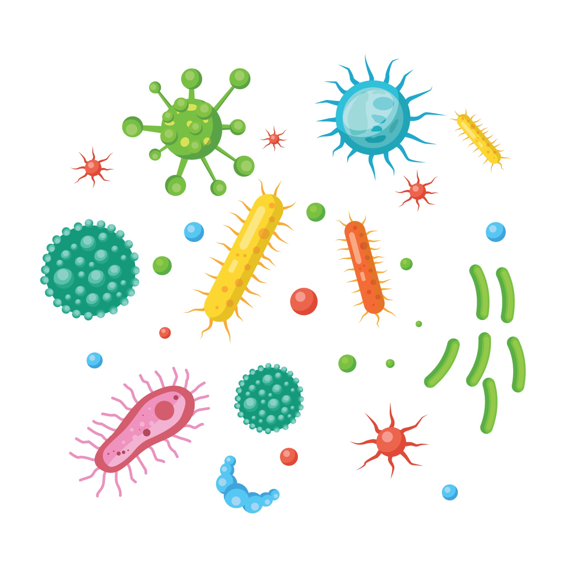 set of bacteria, viruses, germs, microbes 3257033 Vector Art at Vecteezy