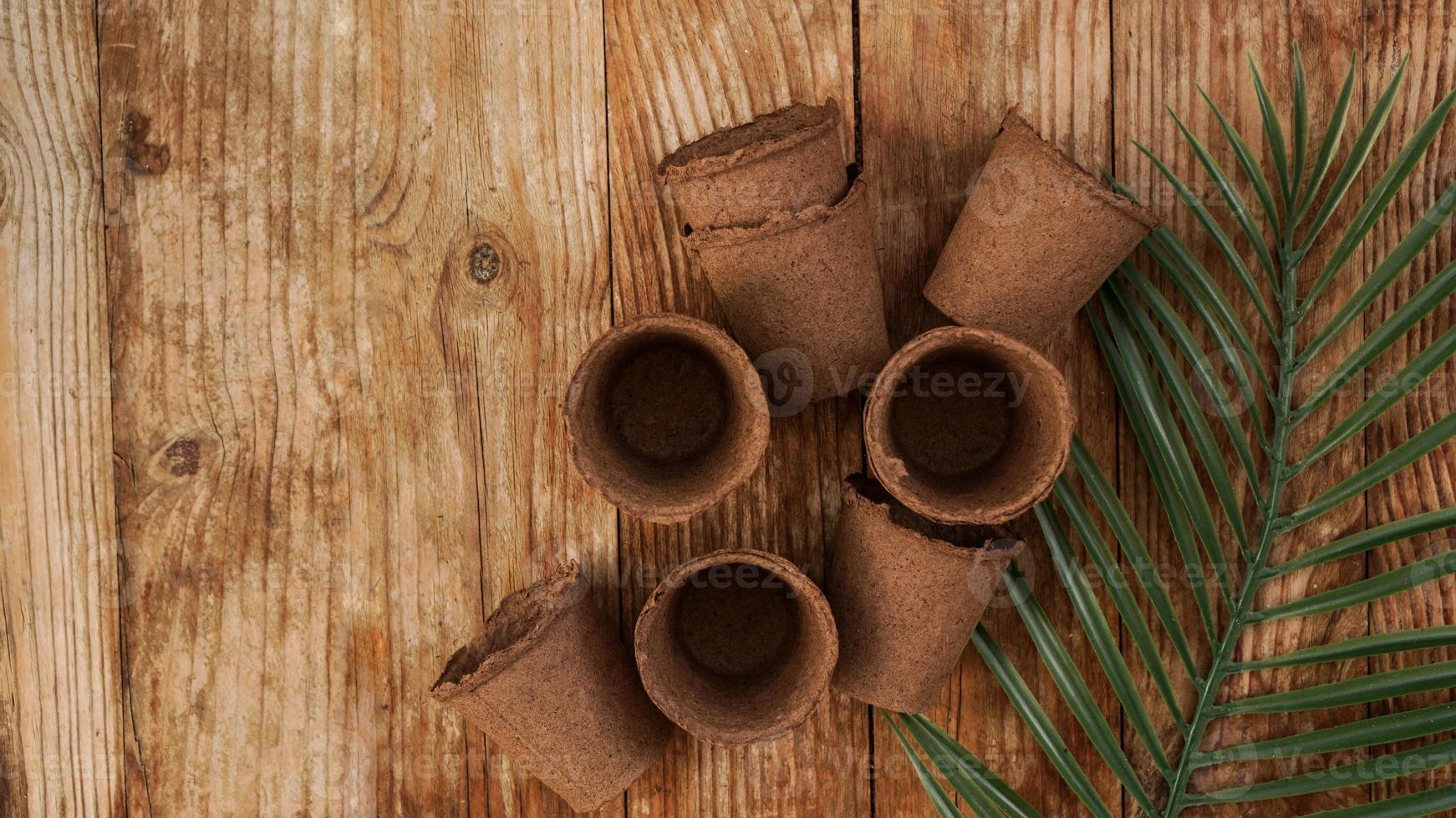 Empty peat pots for seedlings on a wooden background photo