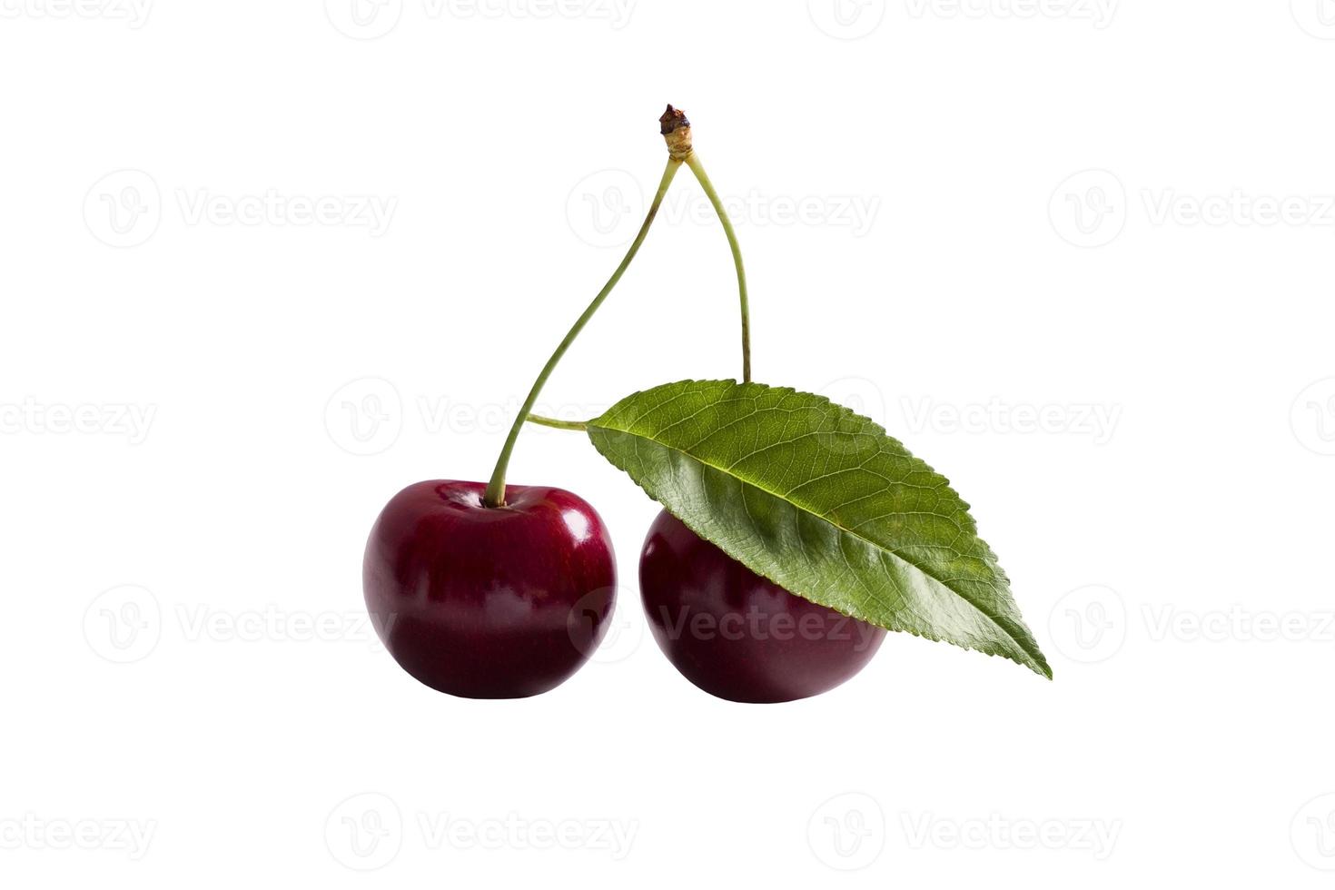 Cherries isolated on white background with clipping path photo