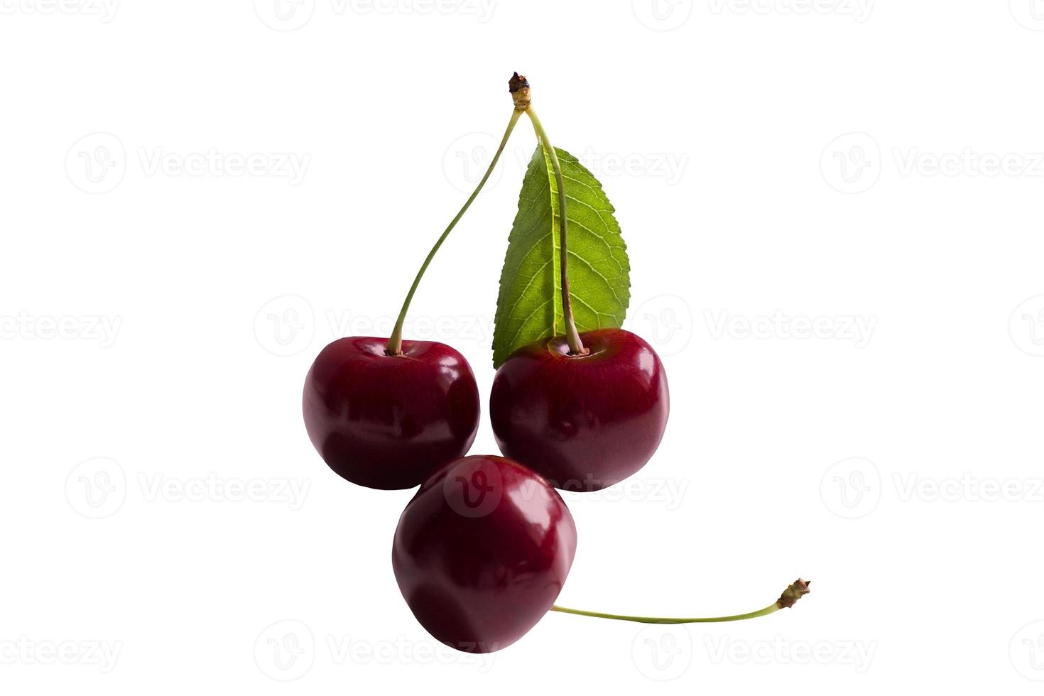 Cherries isolated on white background with clipping path photo