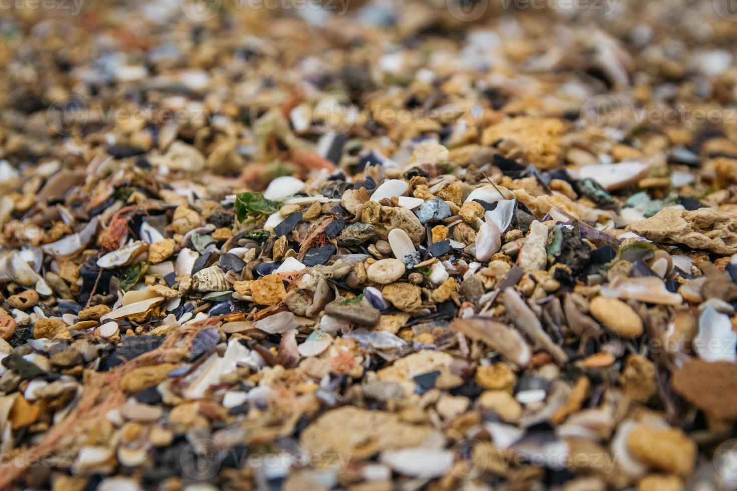 Shell and pebble stone for background texture photo