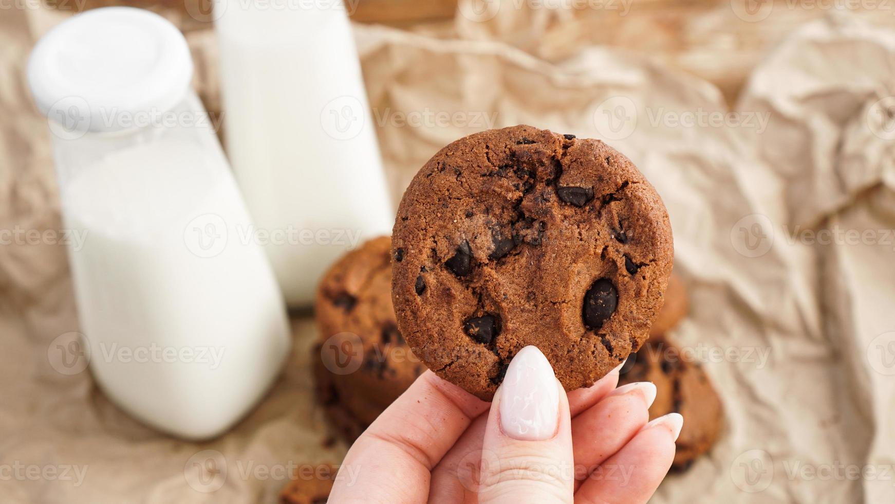 Female hands holding chocolate chip cookies. Selective focus photo
