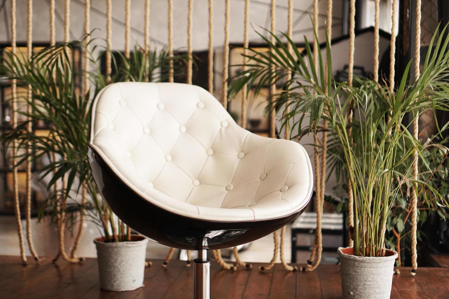 Interior with chair and plant on the background photo