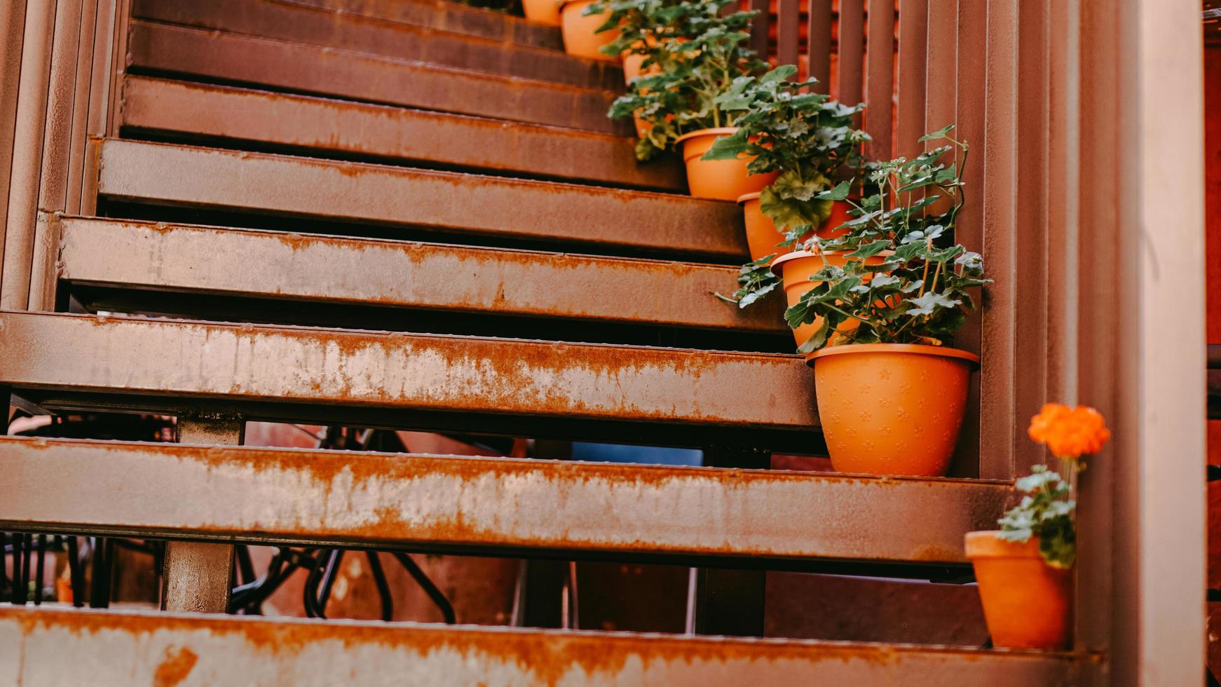 Closeup of railing and steps with flowers photo